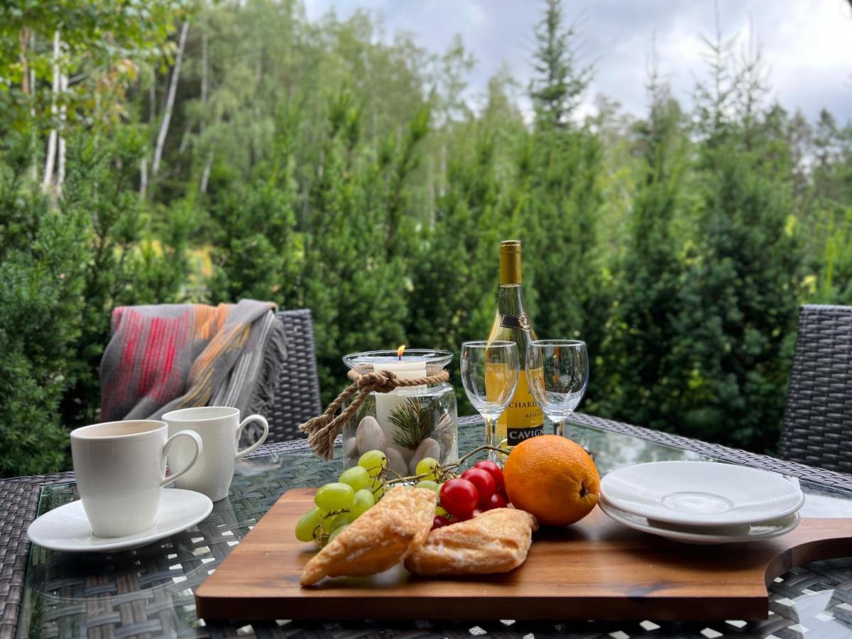 Dolina Wikingow-Apartament Suite Z Tarasem W Ogrodzie, Miejscem W Garazu I Dostepem Do Strefy Wellness Шклярська Поремба Екстер'єр фото